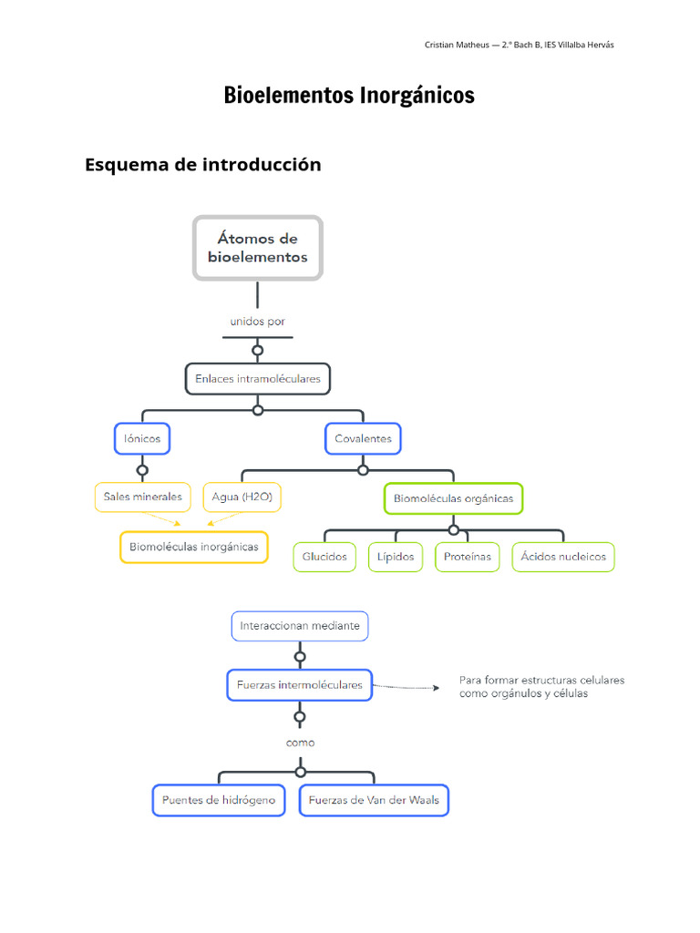 Bioelementos Inorgánicos Apuntes | PDF
