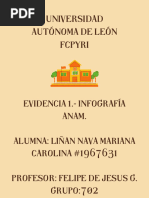 Funciones y Atribuciones de la ANAM | PDF | aduana | Gobierno