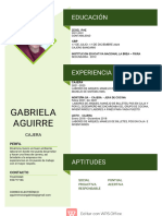 CV Gabriela