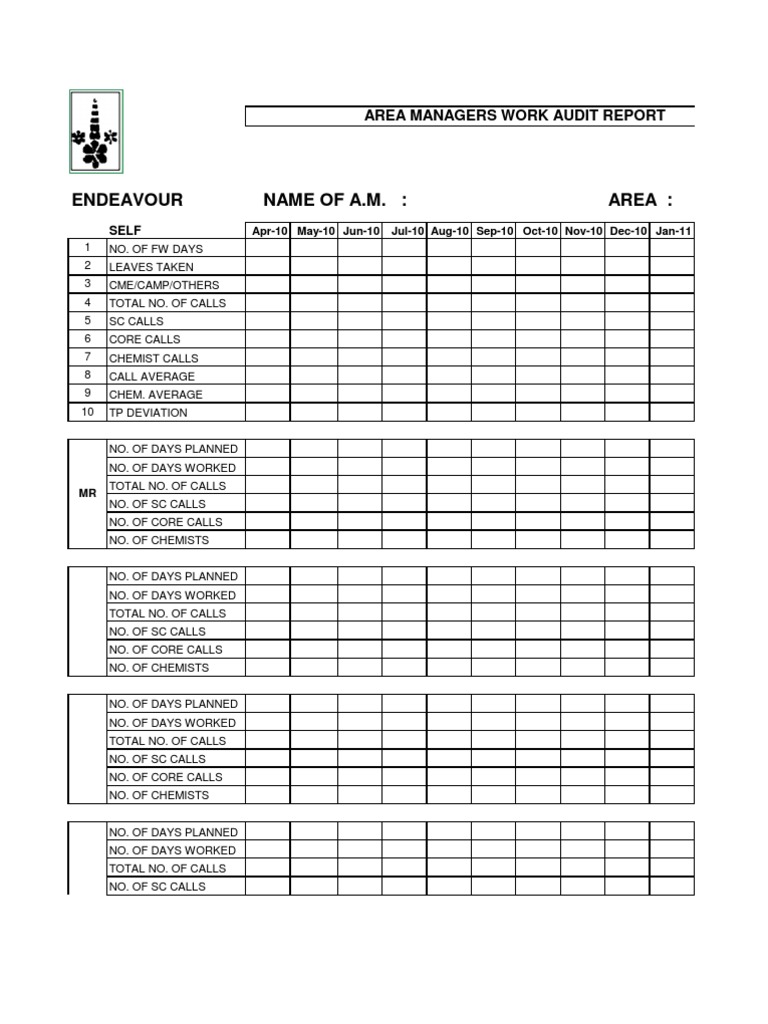 Field Work Audit Report | PDF | Leisure