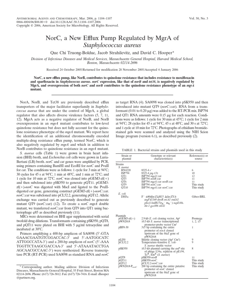 NorC, A New Efflux Pump Regulated by MgrA of Staphylococcus Aureus ...