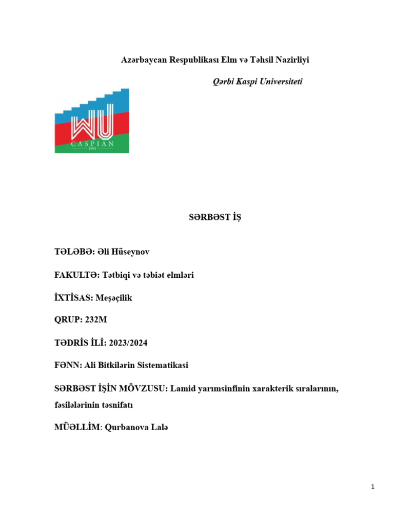 Ali Bit | PDF