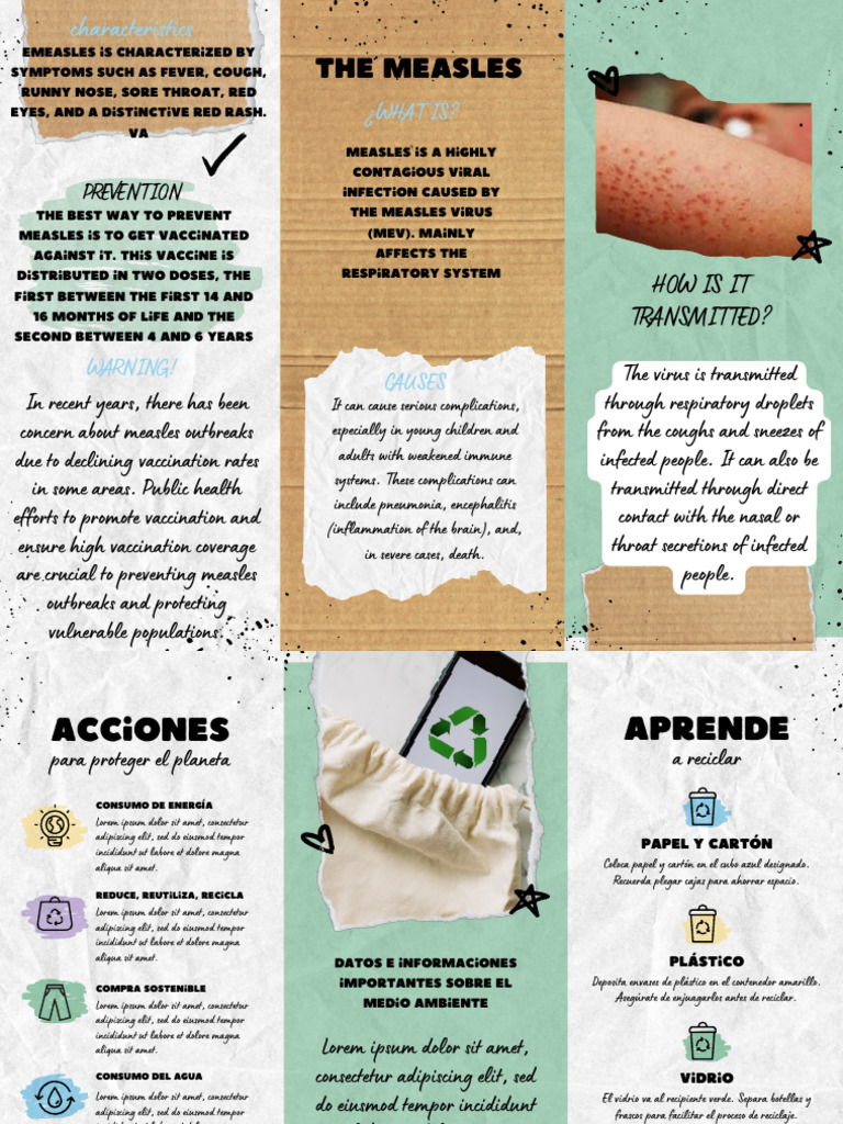 Sarampion Pdf Measles Animal Diseases