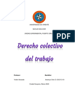 derecho colectivo A1 actual