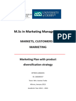 Marketing Plan With Product Diversificat
