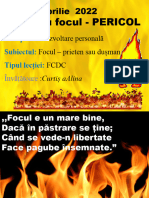 27.03.202 2 Dezv.pers. FOCUL-prieten și dușman