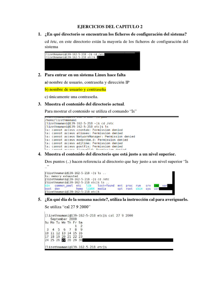 Ejercicios Básicos de Comandos Linux | PDF | Archivo de computadora ...