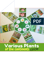 5 - Plants of The Continents Cards