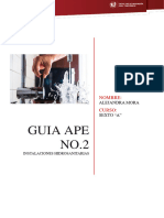 Guia APE 1