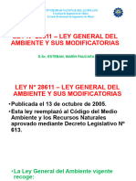 Ley 28611 Leygeneraldelambiente