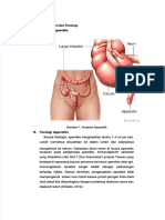 PDF LP Appendisitis - Compress