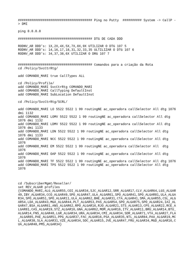 Ping Commands and Routing Setup Guide | PDF