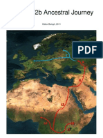 mtDNA T2b Ancestral Journey Traced