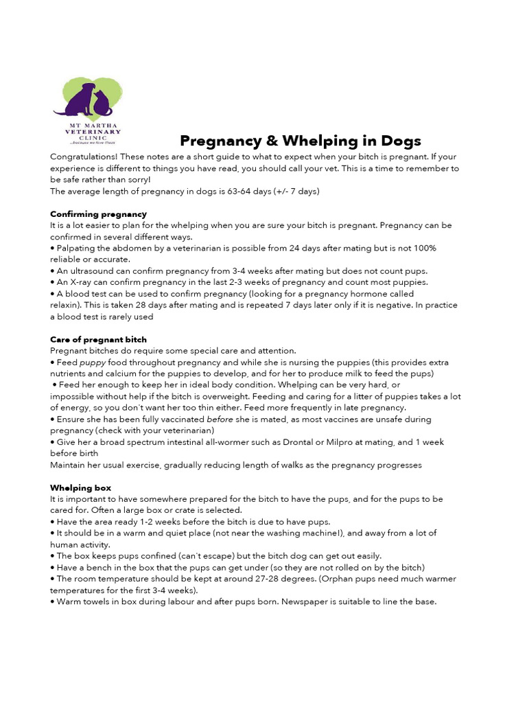 Dog Pregnancy and Whelping Guide | PDF | Pregnancy | Dogs