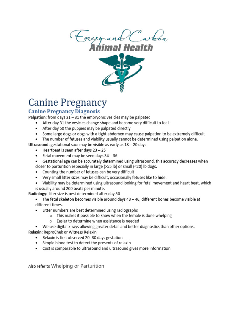 Canine Pregnancy PDF