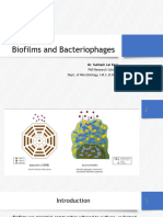 Bacteriophages and Biofilm