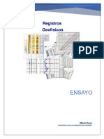 Registros Geofísicos, Ensayo