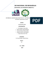 Informe de Laboratorio: "Extracción de Adn de Un Plátano"