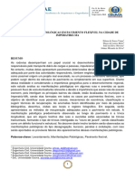 Manifestações Patológicas em Pavimento Flexivel Na Cidade de