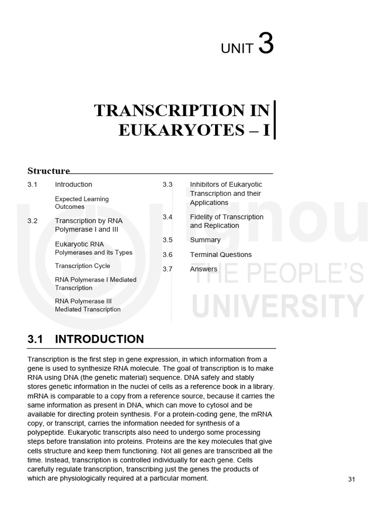Eukaryotic Transcription Overview | PDF | Rna | Ribosomal Rna