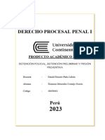 PA3 - DERECHO PROCESAL PENAL I