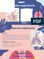 Aparato Respiratorio