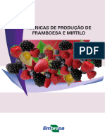 Técnicas de Produção de Framboesa e Mirtilo