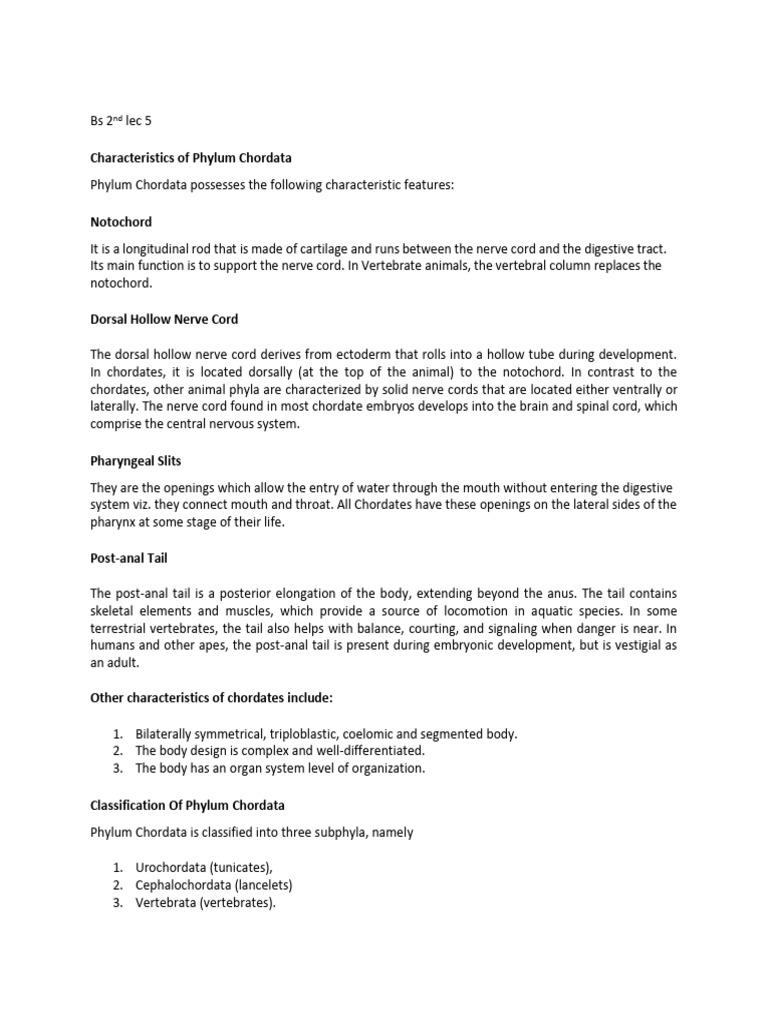 Characteristics of Phylum Chordata | PDF | Vertebrates | Zoology