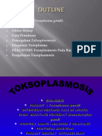 KLP 2 Toksoplasma Pak Andi
