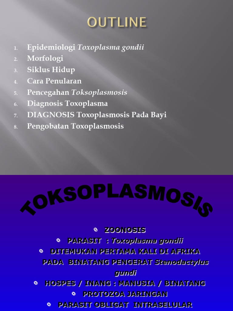 KLP 2 Toksoplasma Pak Andi | PDF | Sains & Matematika