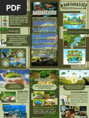 Pamphlet