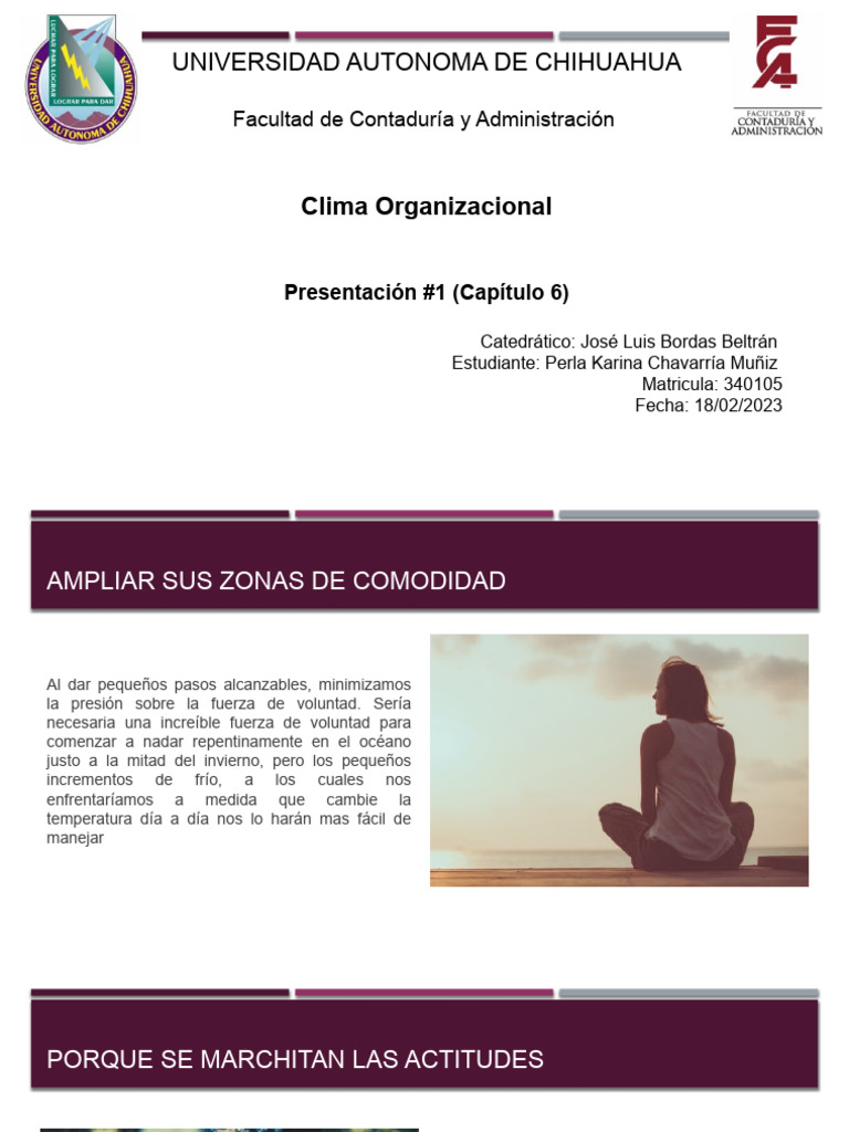 Ampliar Zonas de Comodidad en el Trabajo | PDF | Crecimiento personal y ...