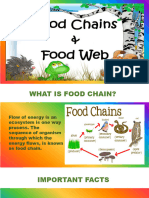 Food Chain and Food Web 4