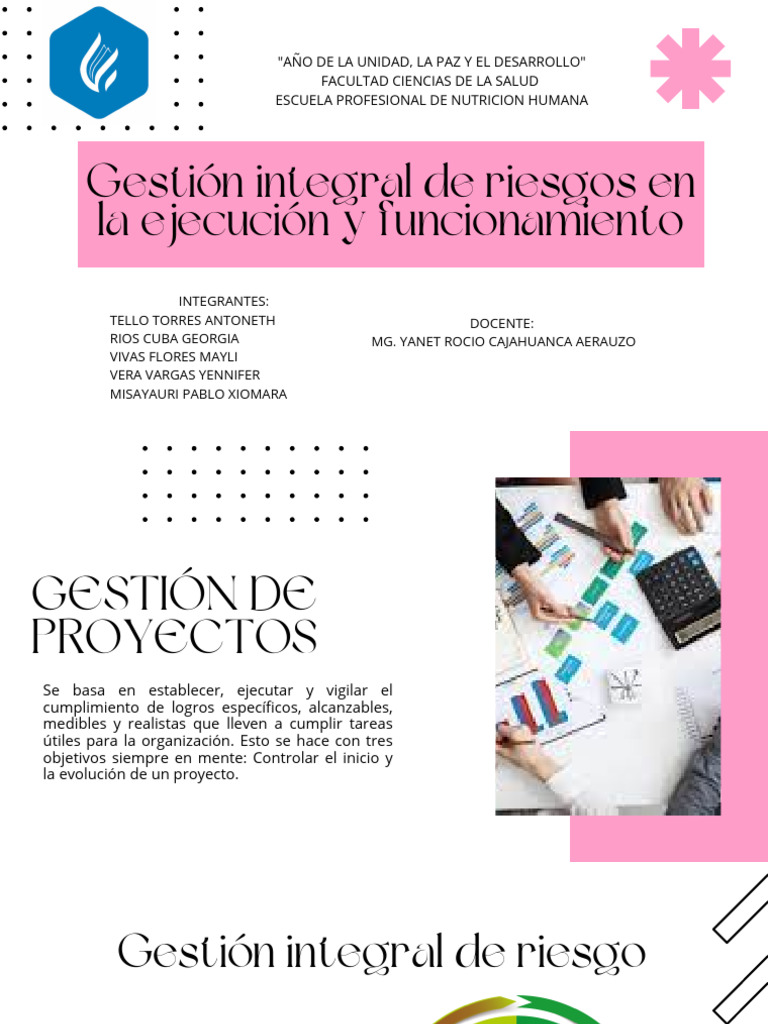 Gestión Integral de Riesgos en Proyectos | PDF | Riesgo | Business