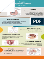 reproductive systems (infographic)