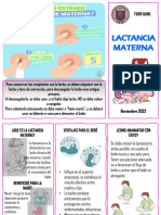 Lactancia Materna Triptico