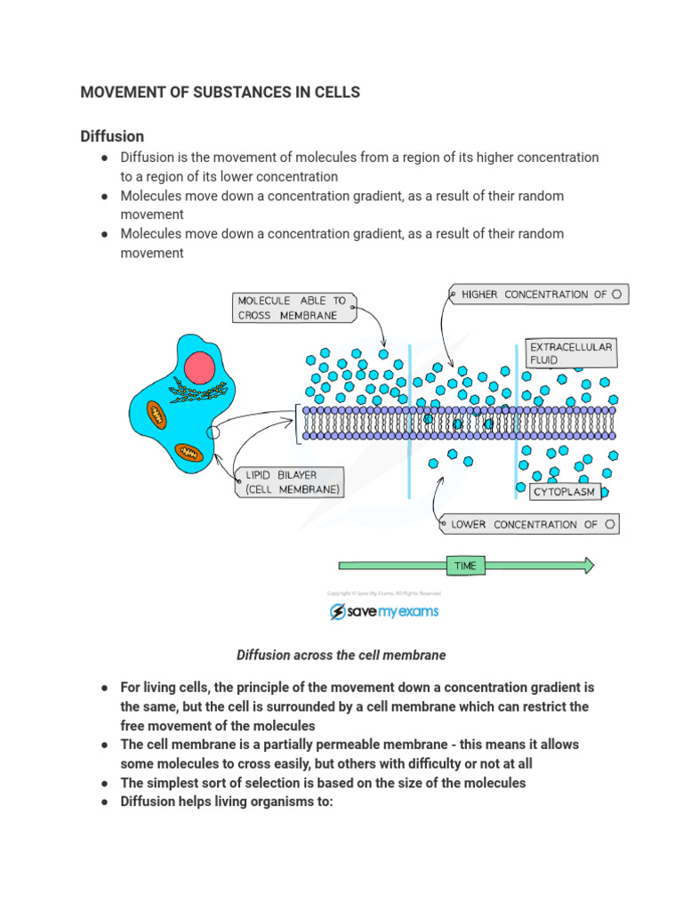Movement of Substances in Cells | PDF | Osmosis | Diffusion