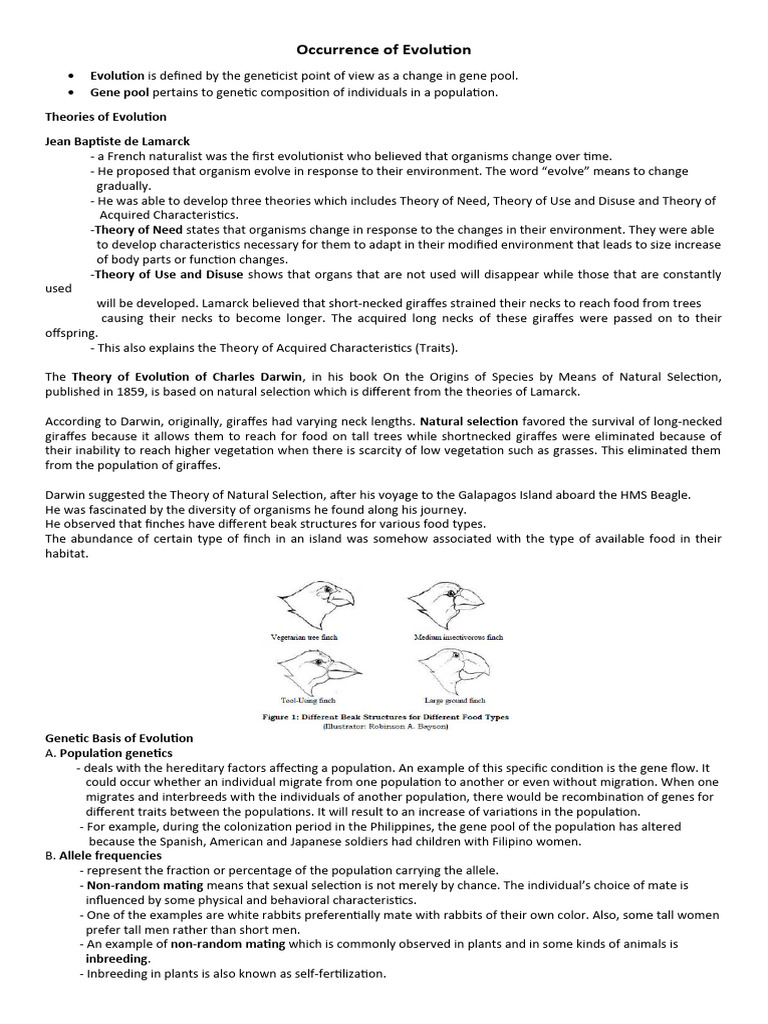 Theories and Mechanisms of Evolution | PDF | Evolution | Natural Selection