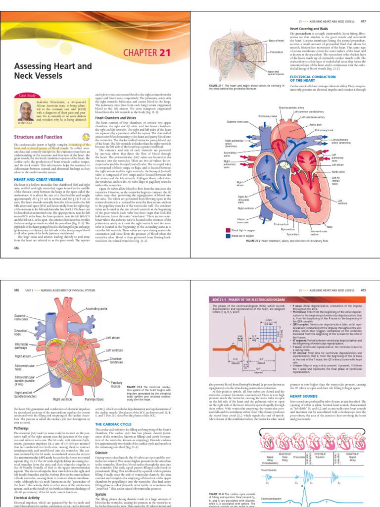 Heart And Neck Vessels Pdf Heart Valve Heart