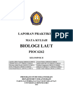 Kelompok 2_Kelas B_Praktikum (Cnidaria)