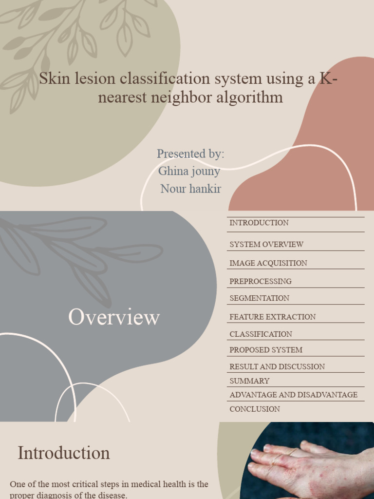 Skin Lesion | PDF | Image Segmentation | Statistical Classification
