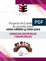 Manual de Votos Validos y Nulos 2024