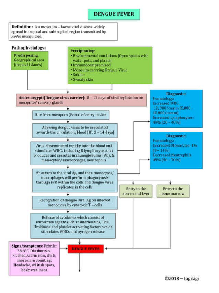 pathophysiology-dengue-fever | PDF