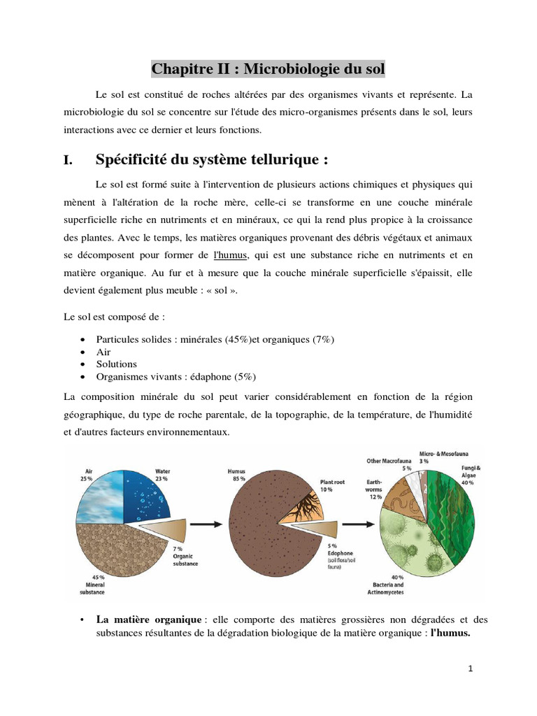 Microbiologie du sol et ses interactions | PDF | Sol (pédologie) | Bactérie