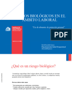 Nota_Tecnica_N_014_Riesgos_Biologicos_en_el_Ambito_Laboral_Uso_de_Elementos_de_Proteccion_Personal (1)