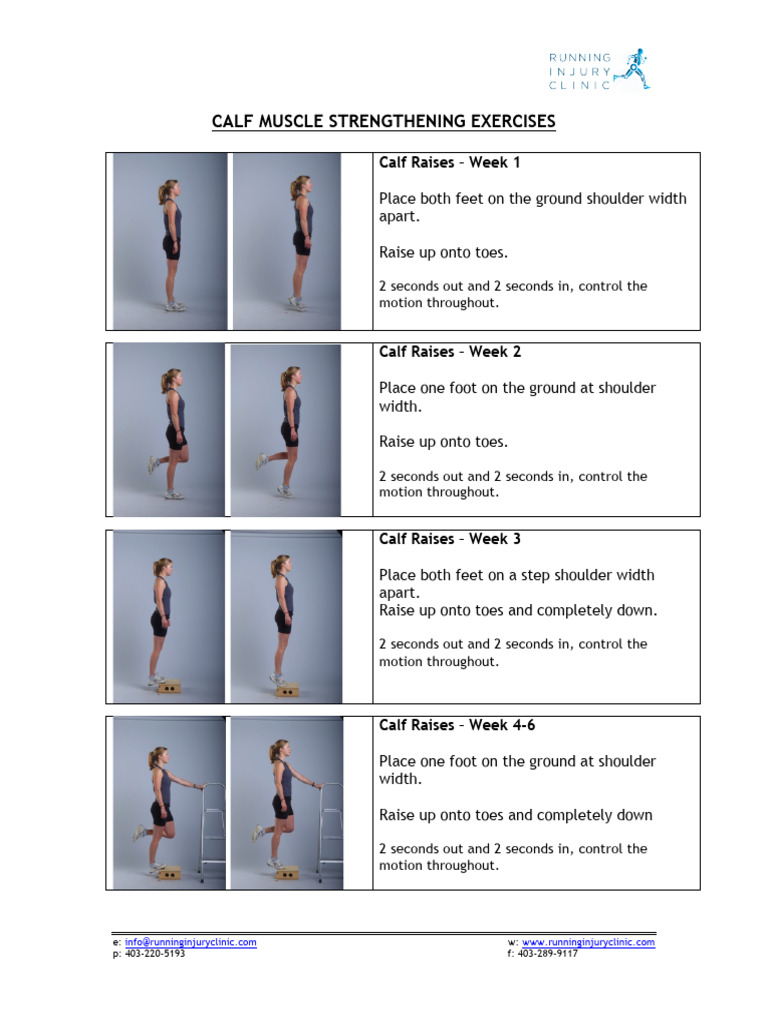 Heel Raise Program | PDF | Foot | Lower Limb Anatomy