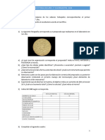 Trayectoria Primer Cuatrimestre 2do Año