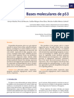 Bases Moleculares de p53: Arroyo-Sánchez Nora Del Rosario, Casillas-Márquez Rosa Elena, Morales-Guillén Mónica Lizbeth.