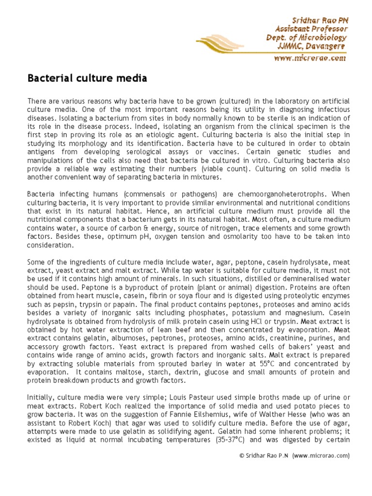 Culture Media PDF