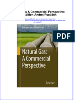 Textbook Natural Gas A Commercial Perspective 1St Edition Andrej Pustisek Ebook All Chapter PDF